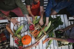 Sustainable Earth Project Inc