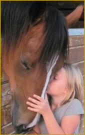 Bit-By-Bit Medical Therapeutic Riding Center