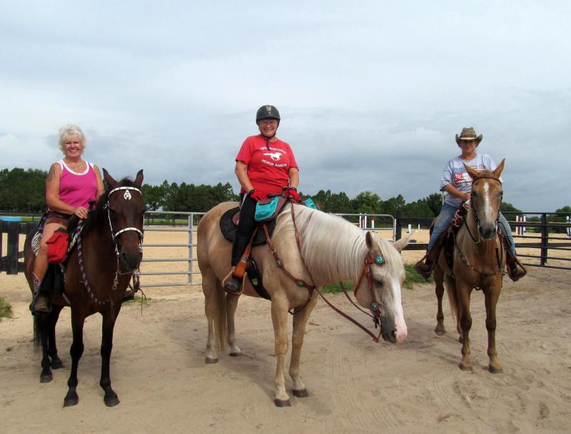 Dreamcatcher Horse ranch Reviews and Ratings clermont, FL Donate