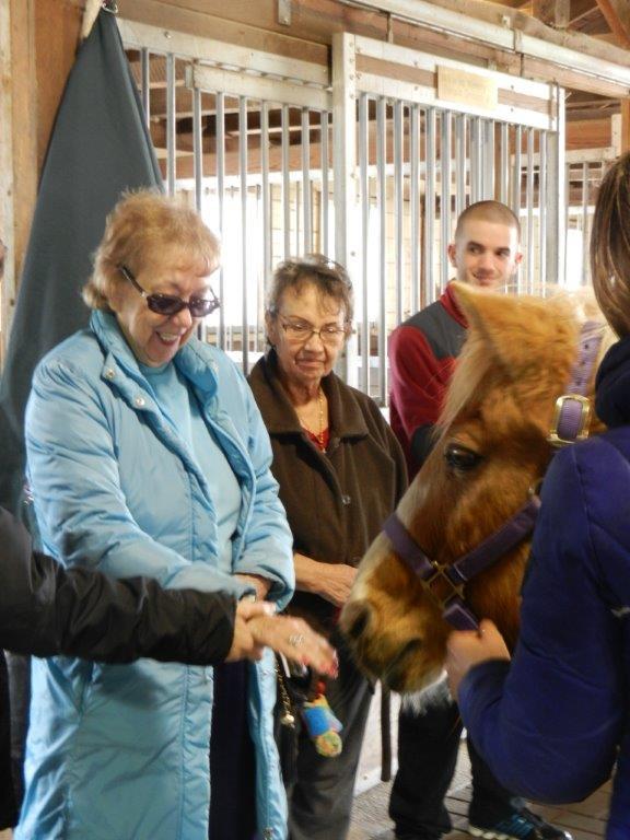 Strongwater Farm Therapeutic Equestrian Center Reviews and Ratings