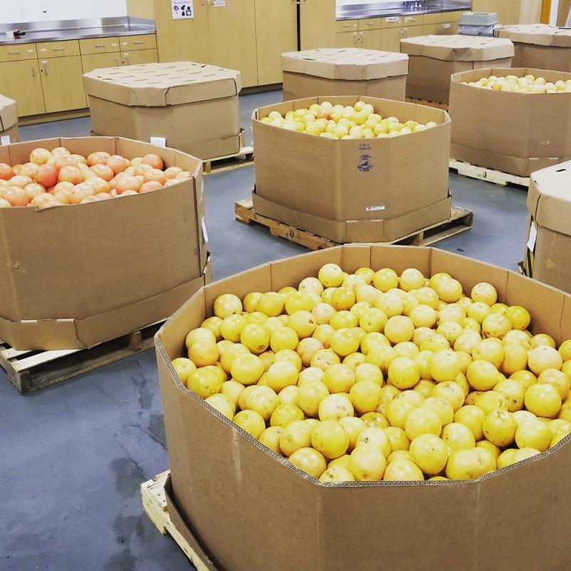 Second Harvest Food Bank of Santa Clara and San Mateo Counties Reviews and Ratings San Jose