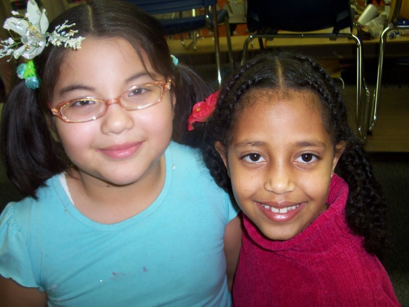 Search Box Image