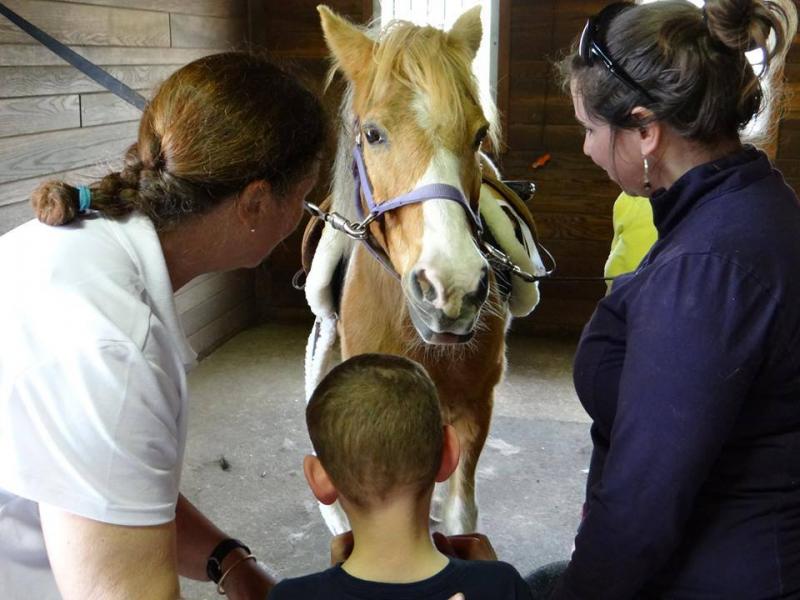 Strongwater Farm Therapeutic Equestrian Center Reviews and Ratings
