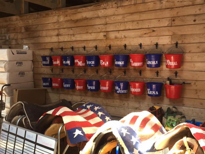 New Freedom Farm Reviews and Ratings Buchanan, VA Donate, Volunteer