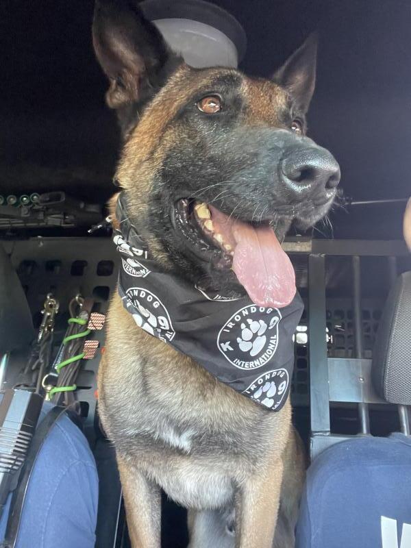 Irondog K9 International Inc Reviews and Ratings McDonough, GA