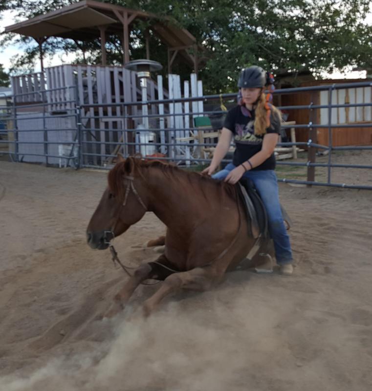 Kingman's Healing Hooves Reviews and Ratings Kingman, AZ Donate