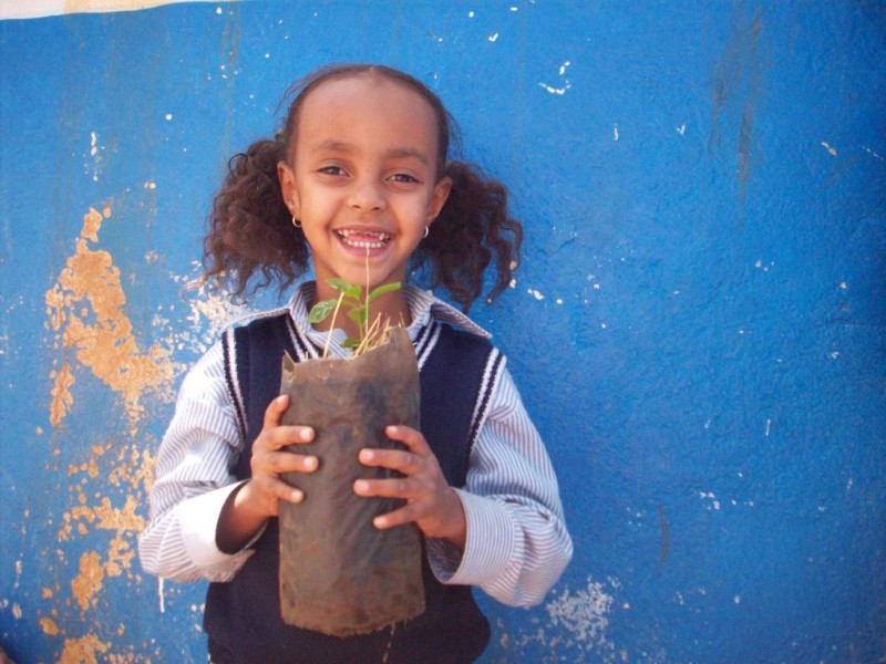 Trees for the Future, Inc. nonprofit in Silver Spring, MD Volunteer