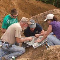 Search Box Image