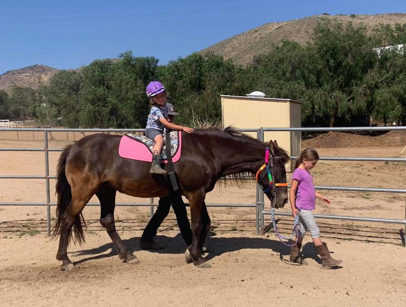 Polo Pony Rescue Reviews and Ratings Acton, CA Donate, Volunteer