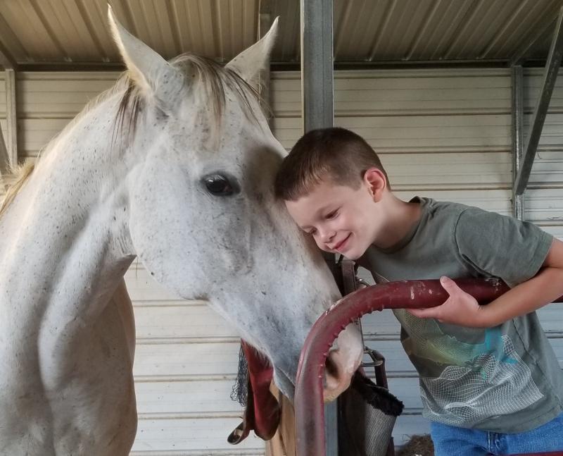 Polo Pony Rescue Reviews and Ratings Acton, CA Donate, Volunteer