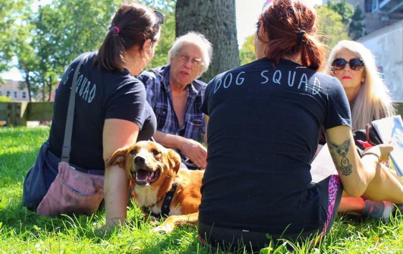 Friends With Four Paws Foundation Of The Chickasha Animal Welfare Di