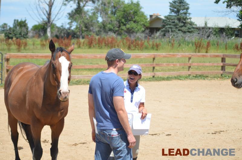 Colorado Horse Rescue Reviews and Ratings Longmont, CO Donate