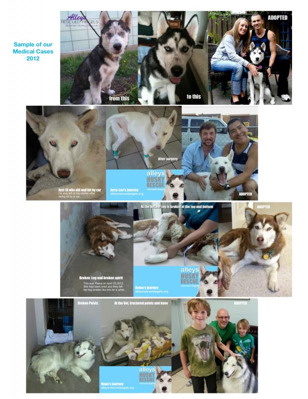 Search Box Image