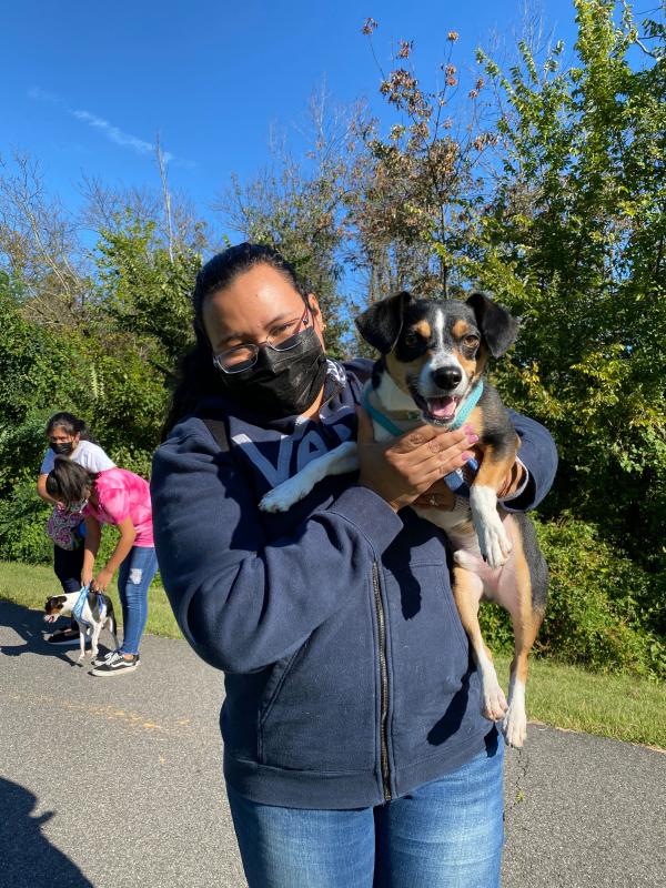 Animal Welfare League of Alexandria Virginia Incorporated Reviews and