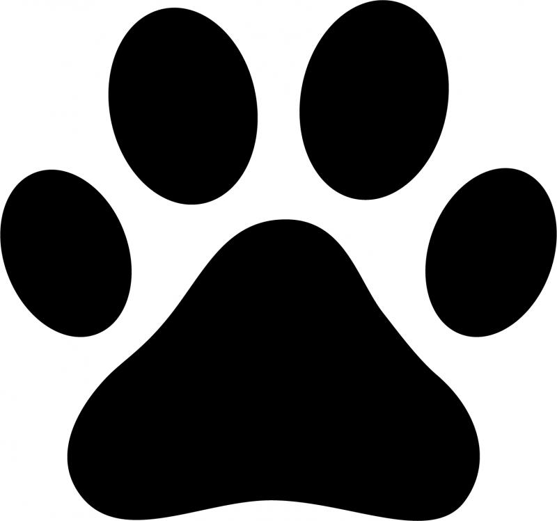 Search Box Image