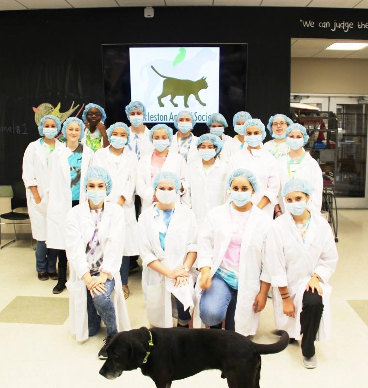 CHARLESTON ANIMAL SOCIETY Reviews and Ratings North Charleston, SC