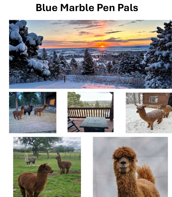 Search Box Image