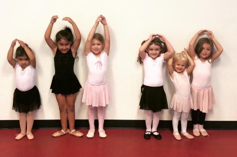 Dancing For Donations Reviews and Ratings Tampa, FL Donate, Volunteer, Review GreatNonprofits