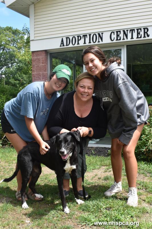 New Hampshire SPCA Reviews and Ratings Stratham, NH Donate