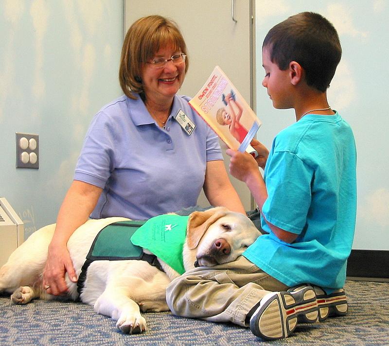 Denver Pet Partners Reviews and Ratings Littleton, CO Donate