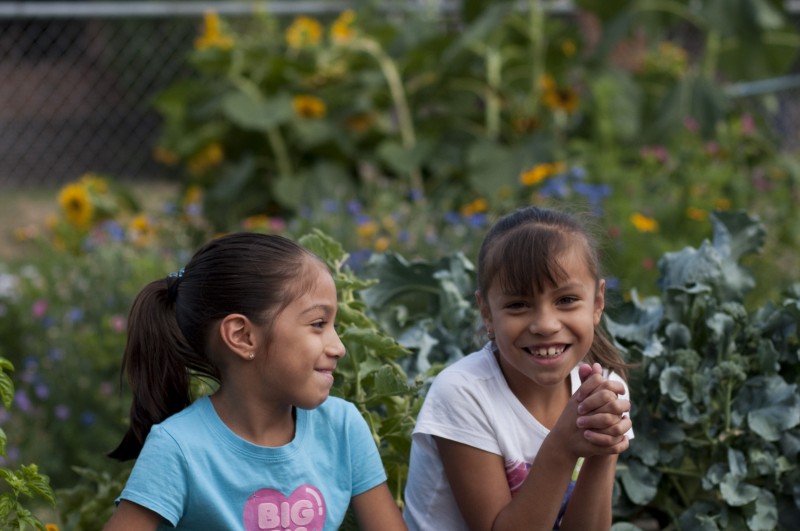 Boys and Girls Clubs of Metro Denver Reviews and Ratings Denver, CO