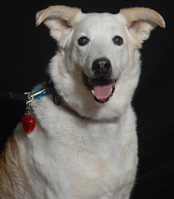 Raccoon Valley Animal Sanctuary & Rescue Reviews and Ratings | Boone