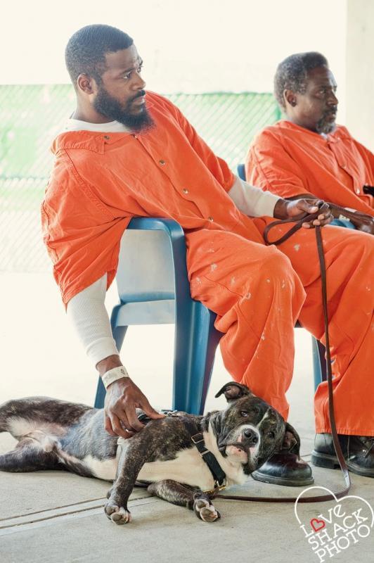 New Leash on Life USA Reviews and Ratings Narberth, PA Donate