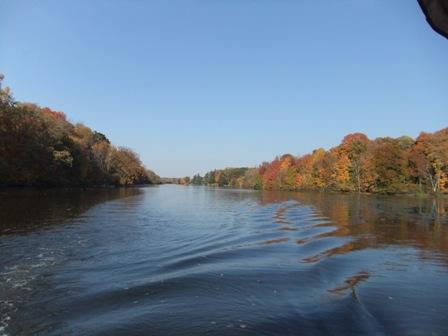 Search Box Image