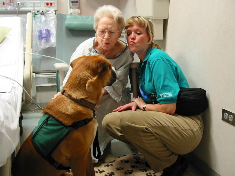 Denver Pet Partners Reviews and Ratings Littleton, CO Donate