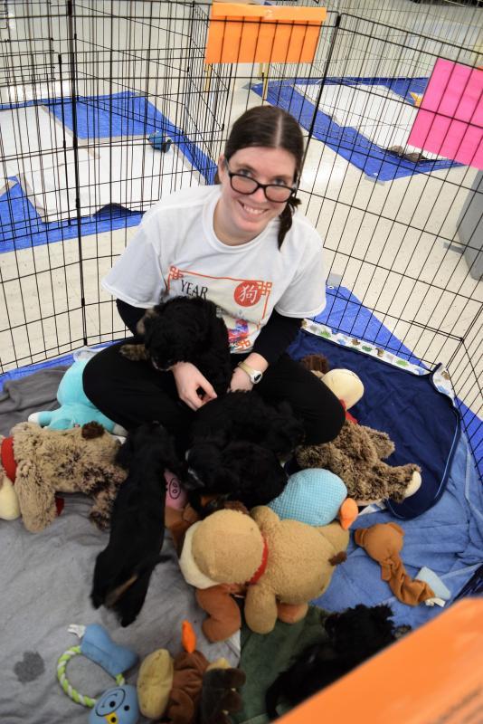 Oregon Friends of Shelter Animals Reviews and Ratings Hillsboro, OR Donate, Volunteer