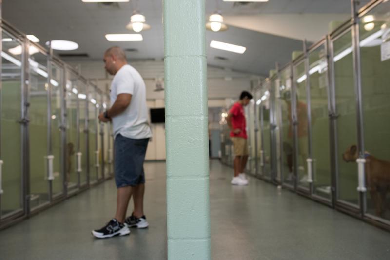 Humane Society Of Broward County Reviews and Ratings Ft Lauderdale