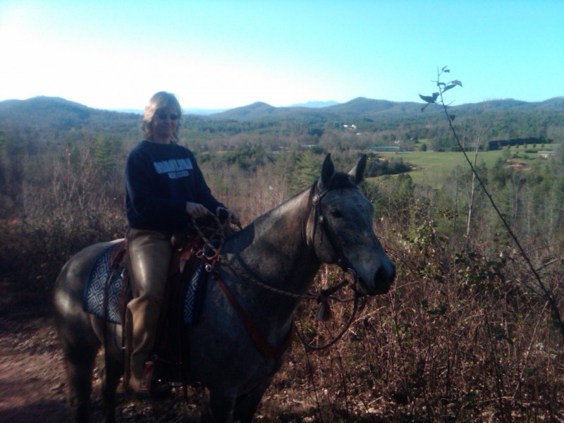 HorseAngels Inc Reviews and Ratings Spencer, IN Donate, Volunteer