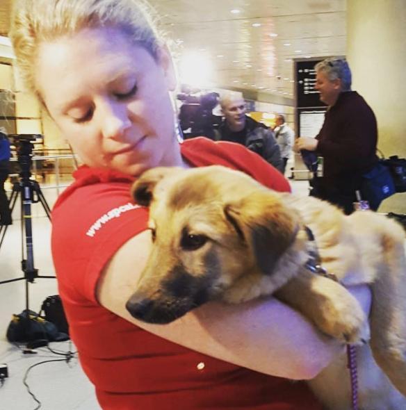 SPCA International Reviews and Ratings New York, NY Donate