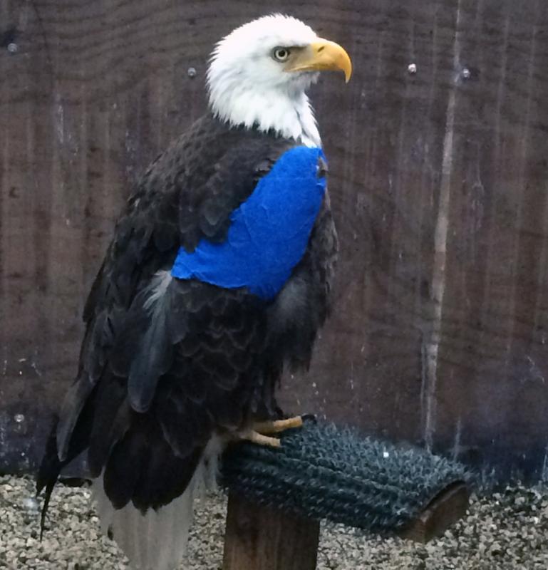 South Florida Wildlife Center Inc Reviews and Ratings | Ft Lauderdale
