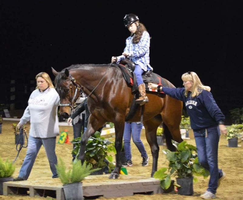 Bakas Horses For Handicapped Inc Reviews and Ratings Tampa, FL