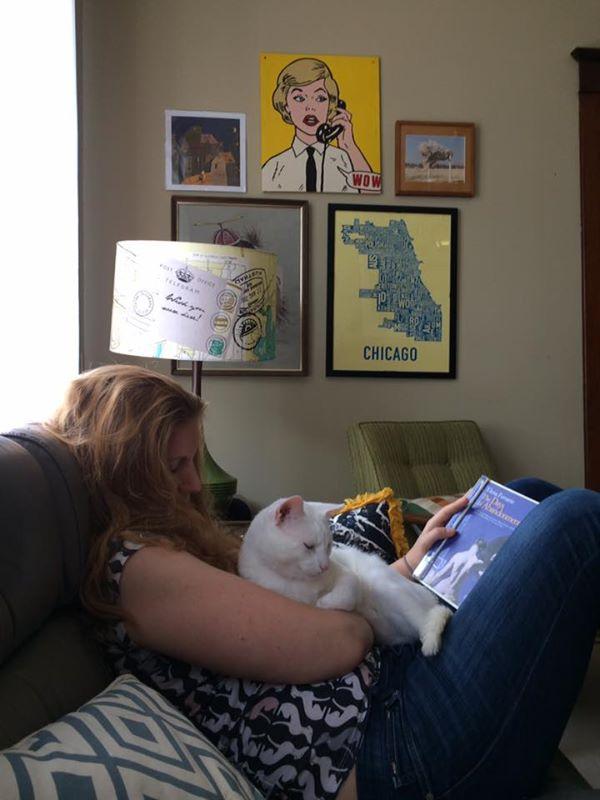 Tenth Life Cat Rescue Reviews and Ratings Saint Louis, MO Donate