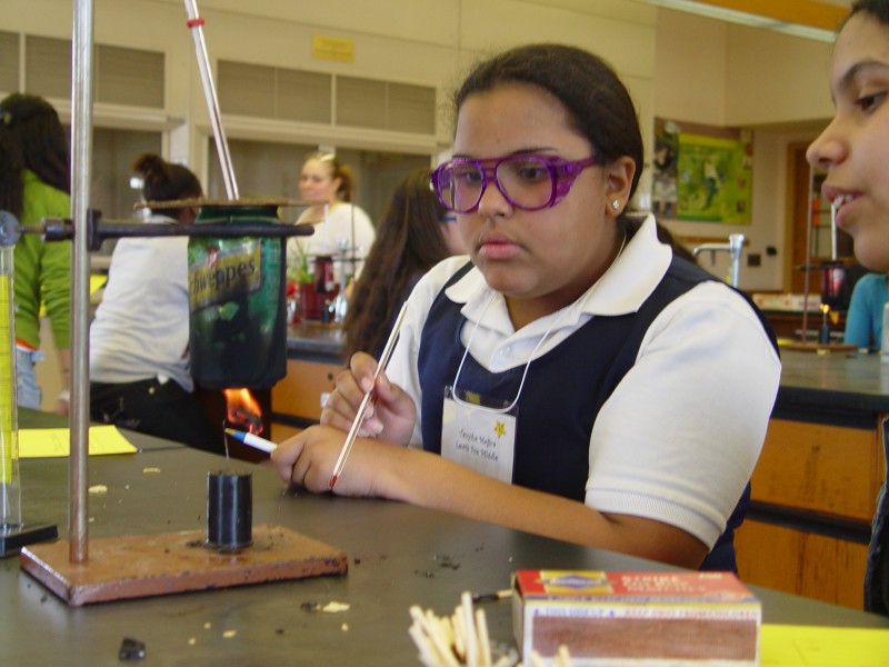 Search Box Image