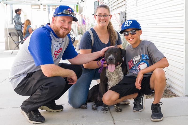 The Animal Foundation Reviews and Ratings | Las Vegas, NV | Donate