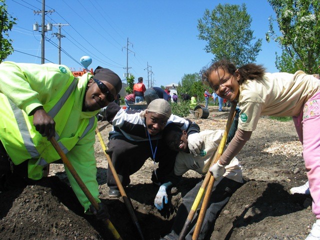 Tree Trust Reviews and Ratings St. Louis Park, MN