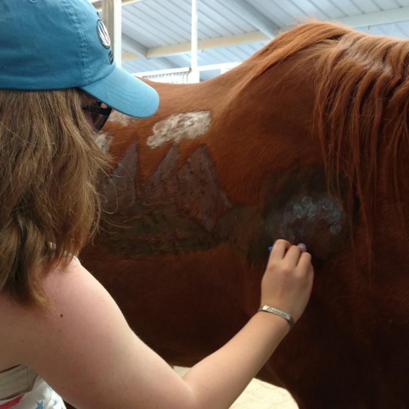 LEAD with Horses Reviews and Ratings Reno, NV Donate, Volunteer