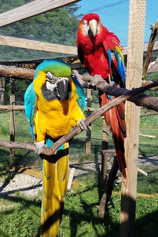 PARC Inc. aka Black Pine Animal Sanctuary Reviews and