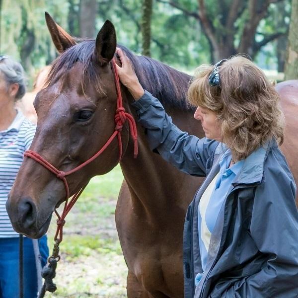 Horse Protection Association of Florida Reviews and Ratings Micanopy