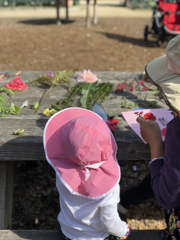 THE ELIZABETH F. GAMBLE GARDEN Reviews and Ratings | Palo Alto, CA