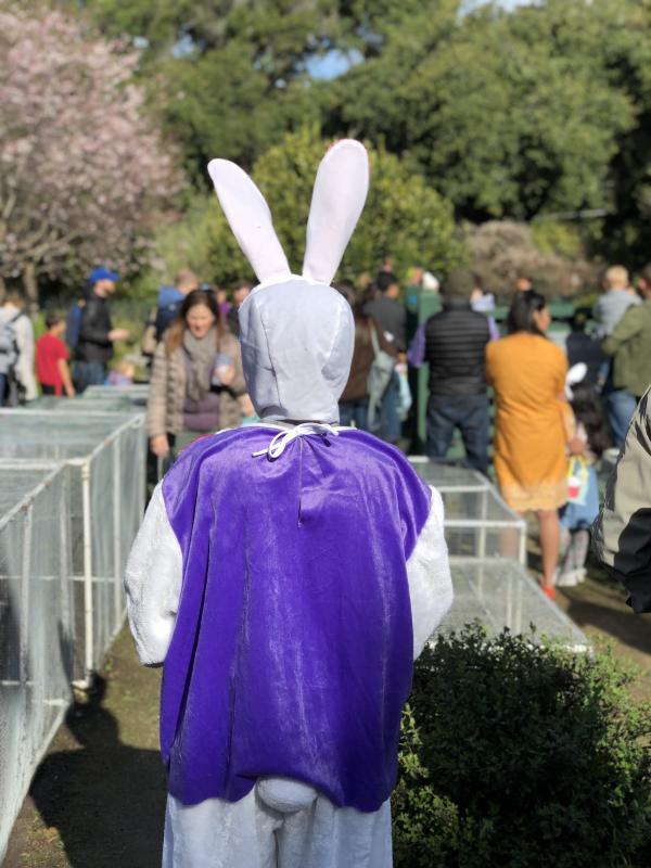 THE ELIZABETH F. GAMBLE GARDEN Reviews and Ratings | Palo Alto, CA