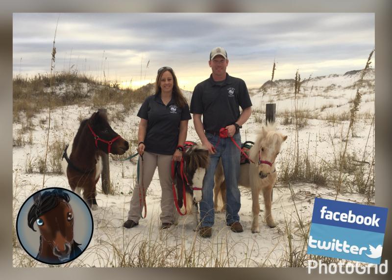 Search Box Image