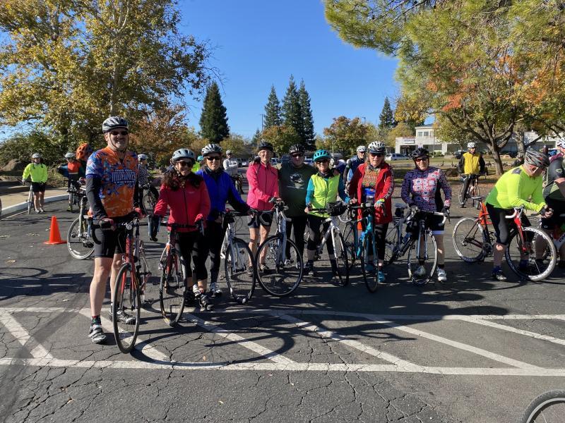 Search Box Image