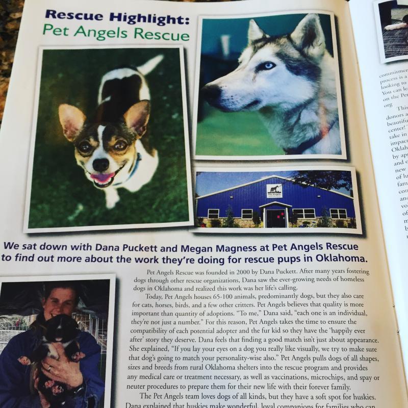 PET ANGELS RESCUE Inc Reviews and Ratings Guthrie, OK Donate