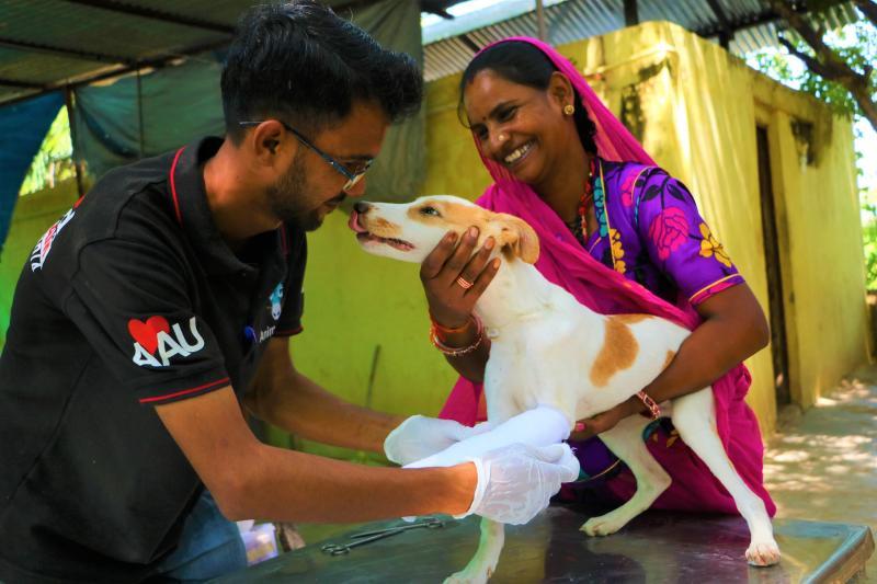 Animal Aid Unlimited Reviews and Ratings Seattle, WA Donate