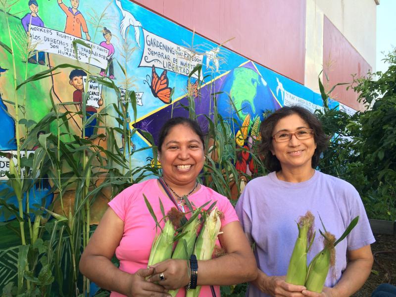 All Peoples Community Center Reviews and Ratings Los Angeles, CA