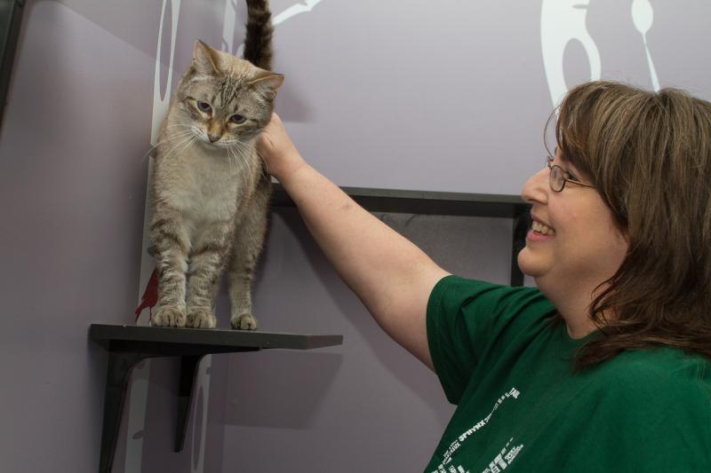 New Beginnings Animal Rescue Reviews and Ratings Royal Oak, MI